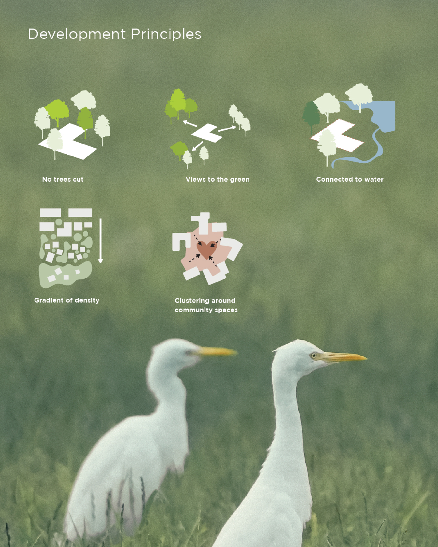 DHUN - Development Principles with ecological design diagrams