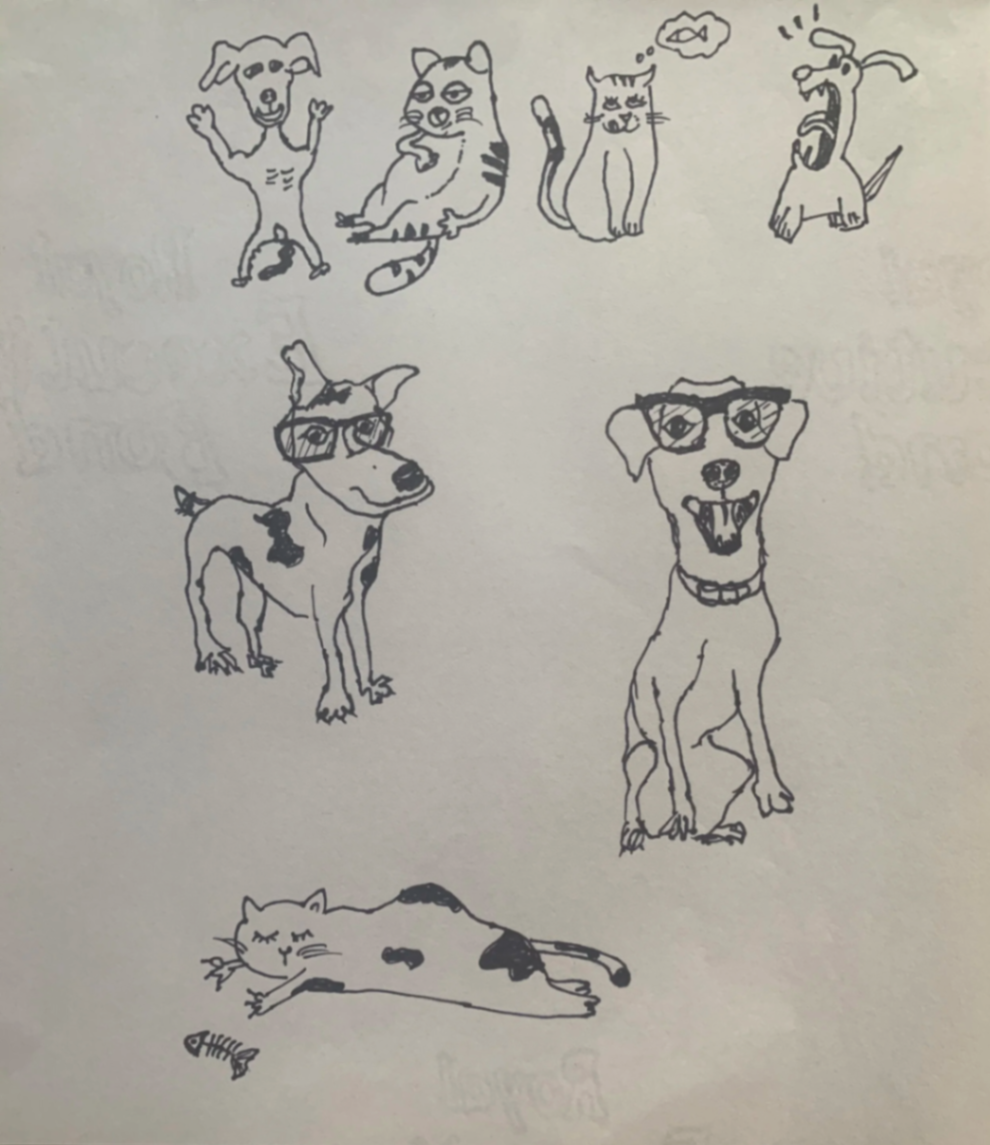 Maw & Paw preliminary sketches showing various pet illustrations by children