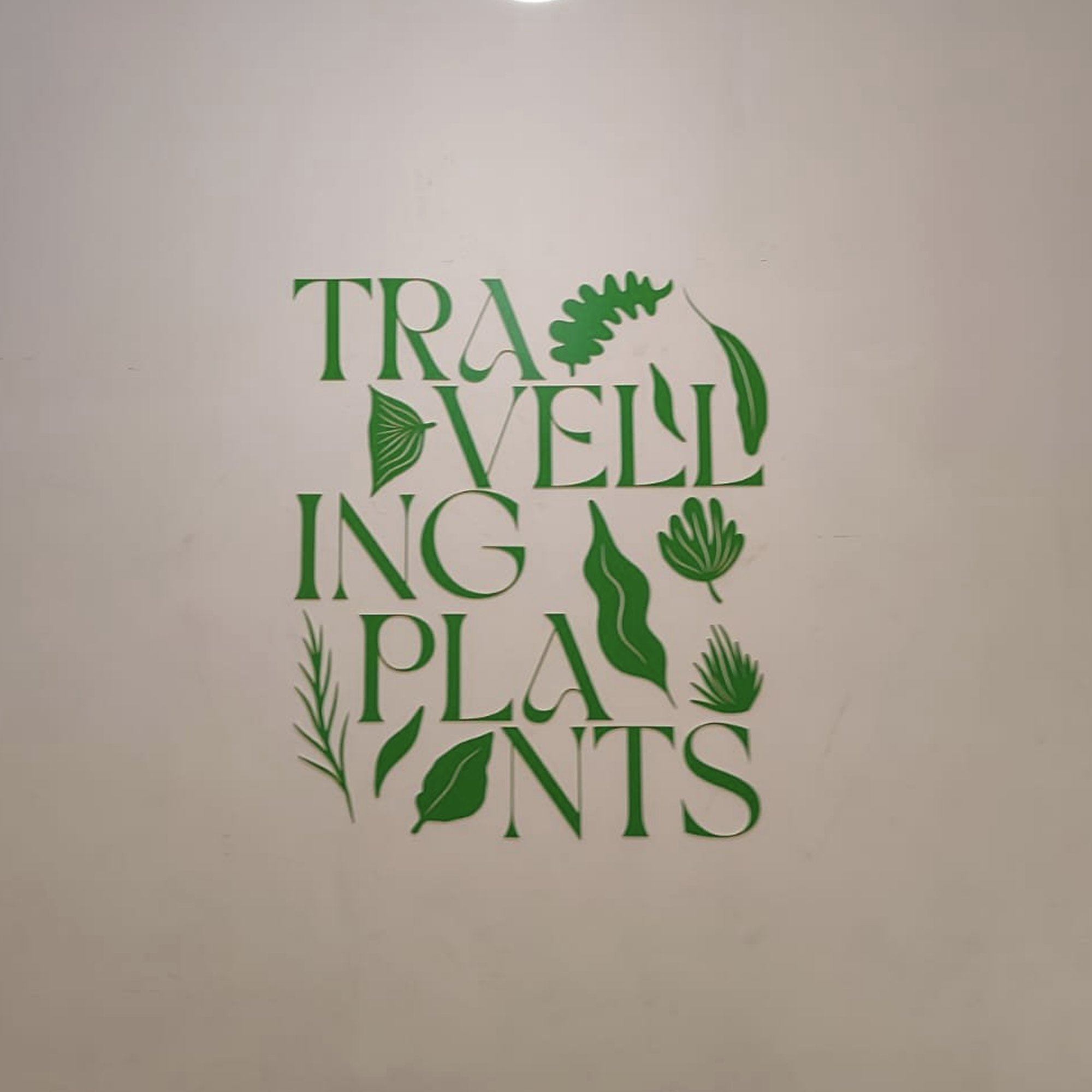 Travelling Plants typography wall display featuring green botanical letterforms and eco-friendly branding design